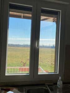 Apartment Rino 1 Caorso