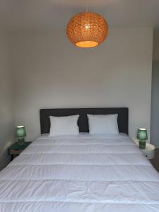 Le Saule - Ile Doleron