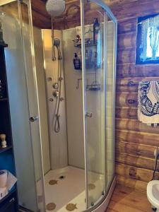 Black sheep Patagonia cabañas con vista al lago gutierrez y cerro catedral