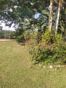 Casa de Campo com piscina