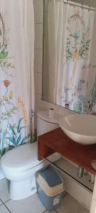 Lindo departamento en santo domingo Santiago centro