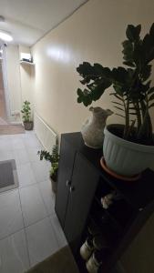 Cosy Private Room in Greater London Easy Access to City & Excel