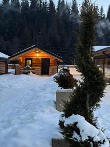 Hanul și Păstrăvăria Țibău