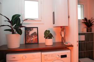 Écrin design et végétal centre