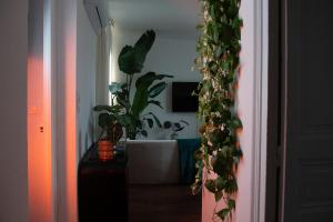 Écrin design et végétal centre