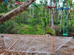 Sirimane Homestay - Pool, Estate, Home Food, Near to falls & Trekking