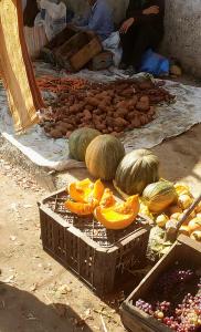 Dar Skalli Essaouira - Oase am Atlantik