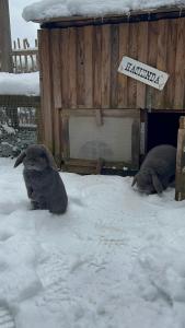 Kuckucksnest - Ferienwohnung mit Traumblick im Schwarzwald
