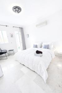 Luxe Studio 2min Carre Eden