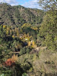 Le Domaine du Martinet Les Quatre Nids des Cévennes