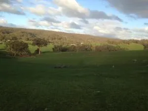 Mancuso Country Cottage Retreat - Rochford