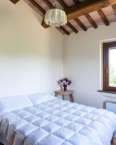 Agriturismo Serena -Petritoli-