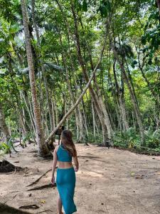Tropical House Relaxation with Private Pool