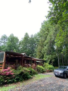 Bosques de molco alto