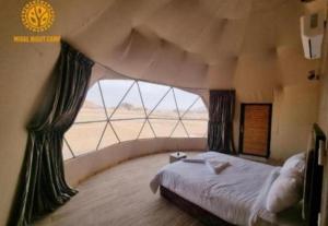 Wadi Rum Sha ar Nights