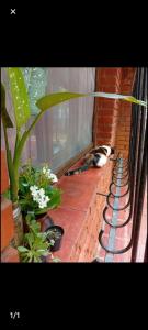 Single room at Iguazu Falls