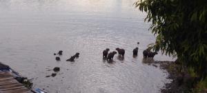 Excelente casa para descansar e pescar