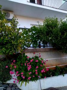 Apartment Marija Marina