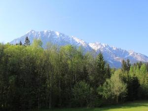 Wohnung in Schladming nahe Skipisten