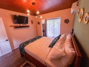 House Monstera Arenal