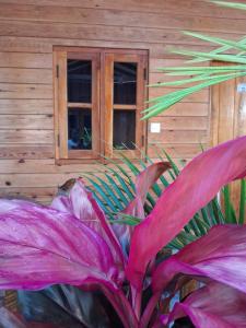 Beach cabin uppuveli