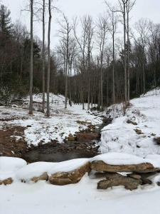 Mountain Cabin & Creek-Front Nature Retreat NC