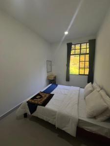 White rose Vila Taman sedia