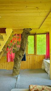 Jibhi Pine Nature Tree house