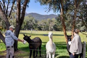 Halls Haven Tiny House 1 by Tiny Away