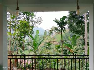 Aloe Vera Garden Homestay