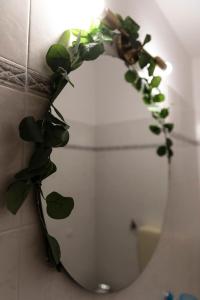 La Casina del Salice