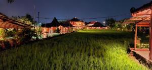 Alamanda Family Villas, Pool & Local Tours