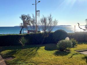 Petit nid au LAVANDOU