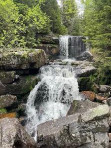 Apartmán v Chalupě U Tří srnek