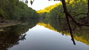 Maisons de vacances Les Fougeres Du Lac : photos des chambres