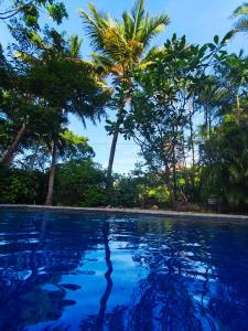 Guesthouse Casa Avi Fauna