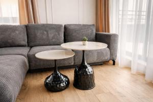 Modern One-Bedroom Apartment with Balcony - Cometei Residence