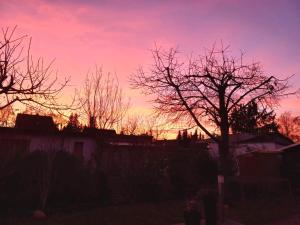 Moderne Ferienwohnung in Berlin Mahlsdorf