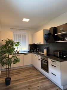 Sorinas Home - Comfortable Apartment near Graz - Free Parking
