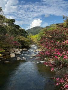 Cabaña Montecielo San Rafael