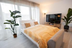 Penthouse mit Parkplatz und Terrasse, 15 Min von Köln HBF