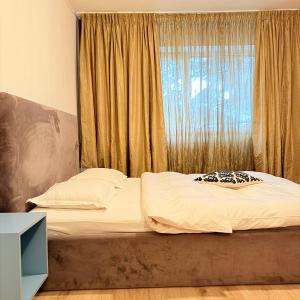 Lions Studio Dristor