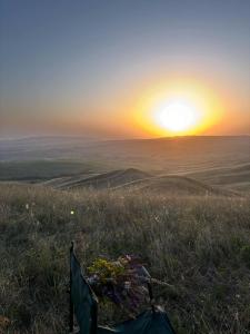 Vashlovani Getaway Home