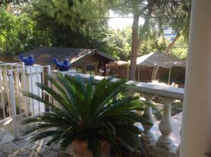 Maisons d'hotes La Nectarine : photos des chambres