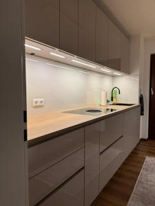 Modern apartment near Basel & airport