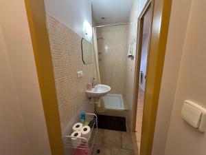 Loft apartment Svahova 6