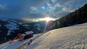 Wohnung Rosengarten Heigler Hof