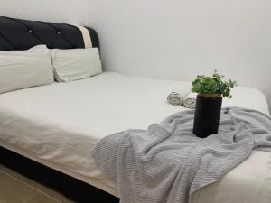 Bay Suite Seawalk Trip by PnS