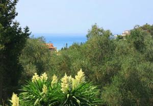 Villa Danai Corfu Greece