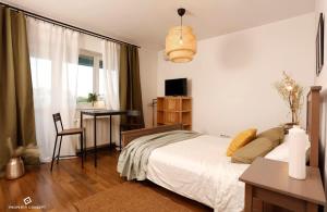 Cozy Concept Studio